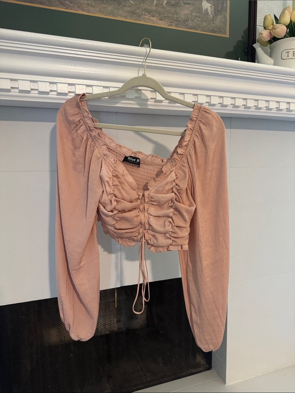 Ruched Long-Sleeve Crop Top in Blush Pink